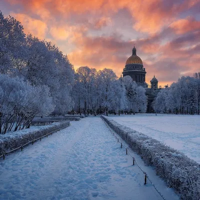 Зимний Петербург