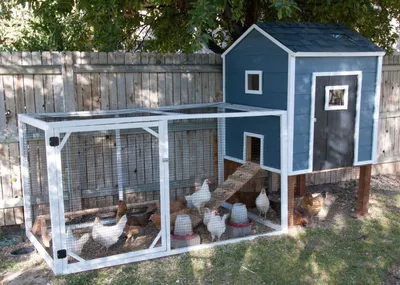 Курятник на 20 кур | Diy chicken coop plans, Backyard chicken coops,  Chicken coop plans