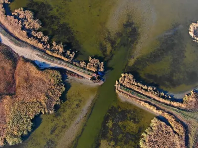 На речках Когильник, Кагач и Сарата восстанавливаются водно-болотные угодья  | ЮГ.today