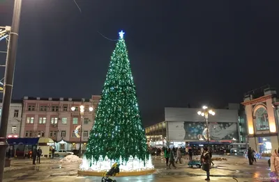 В Саратове набережная увеличится до девяти километров - Российская газета