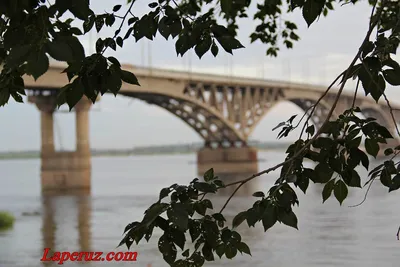 Саратовский мост -визитная карточка города Саратов. История строительства |  Ваш КраеВед - любитель | Дзен