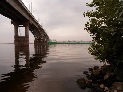 В Саратове построят третий автомобильный мост через Волгу — губернатор | ИА  Красная Весна