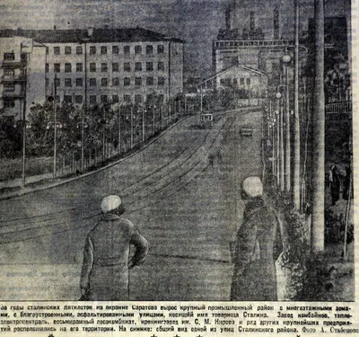 В Заводском районе дерево \"повисло\" на теплотрассе | Новости Саратова и  области — Информационное агентство \"Взгляд-инфо\"