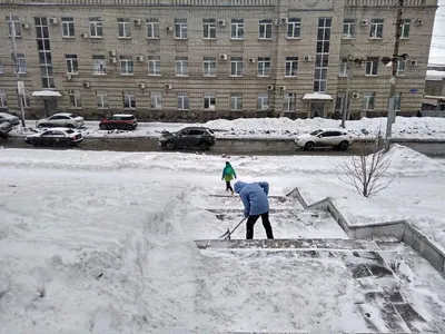 В Саратове тепло и солнечно | 26.01.2023 | Саратов - БезФормата