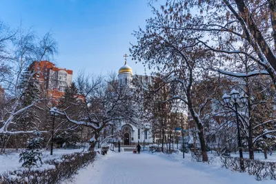 Городской парк зимой. Фотогалерея. О Саратове. Официальный сайт  администрации муниципального образования \"Город Саратов\".