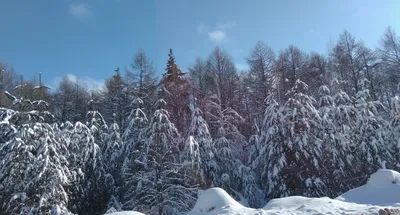 Вид на Саратов с Волги зимой | Фотографии старого Саратова