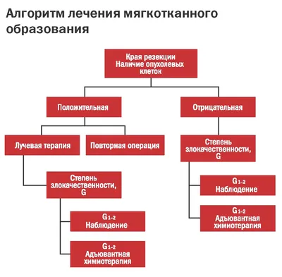 Как выявить, лечить и предотвратить рак у собак