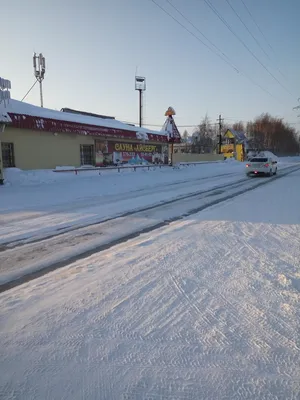 Сауны 🔥 Нижневартовска с большим бассейном - цены, 📷 фото, отзывы