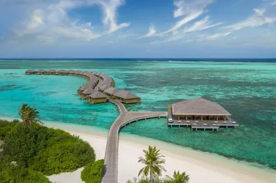 Отель Kurumba Maldives 5* / Мальдивы / Северный Мале Атолл - фото, туры в  отель