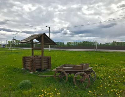 Медведефф, комплекс, Богдана Хитрово, 85, Ульяновск — 2ГИС