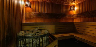 Масло эфирное Proffi Sauna Кедр 10 мл по цене 110 ₽/шт. купить в  Новокузнецке в интернет-магазине Леруа Мерлен