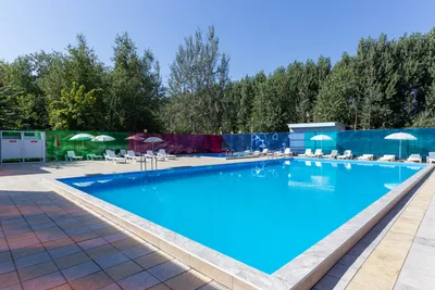 Сауны Астрахани с бассейном недорого: адреса, фото, цены саун с бассейном в  Астрахани