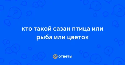 На «Птицефабрике «Боровской» изымают поголовье - Правда УрФО