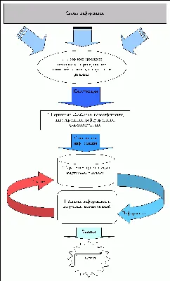 Сбор сведений о компании (организации), заказать услугу