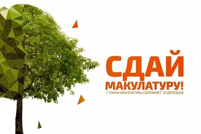 Итоги конкурса по сбору макулатуры | Гродненский заготторг