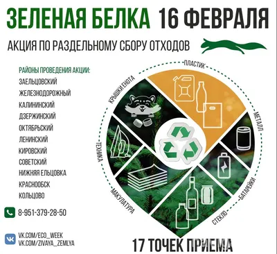 Как вывоз макулатуры из России стал проблемой национального масштаба -  Recycle