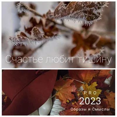 цитаты #мысли #счастье | TikTok