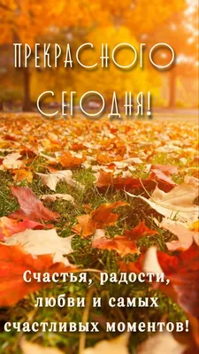 Продюсер «Счастливого дня смерти» подтвердил, что 3 фильм все-таки может  выйти