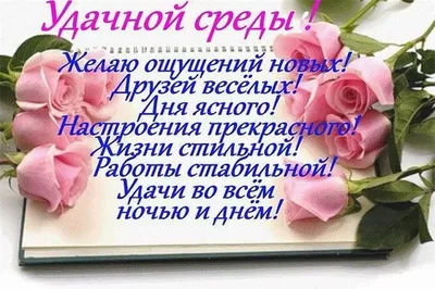 Прикольная открытка со средой и пожеланием | Открытки, Смешные открытки,  Картинки