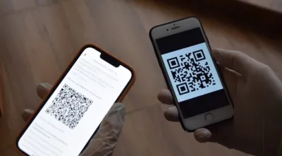 Проверить QR-код вакцинированного или переболевшего коронавирусом можно с  помощью приложения госуслуг