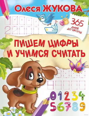 Цифры и числа. Учимся считать. Для детей 5 - 6 лет (Ольга Земцова) - купить  книгу с доставкой в интернет-магазине «Читай-город». ISBN: 978-5-38-906279-5