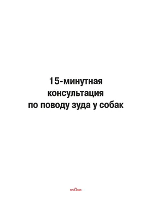 Алопеция у шпицев: причины облысения, симптомы и диагностика