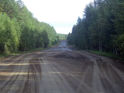 Серебряное. Омская область - Фото