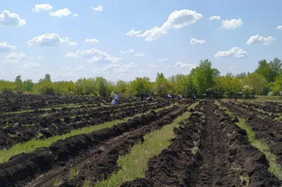 Межпоселенческий музей истории Седельниковского района | Новости