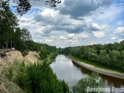 Река Уй» Просмотр фотографии :: точка «Юртуйск» :: Седельниковский район :: Омская  область на карте