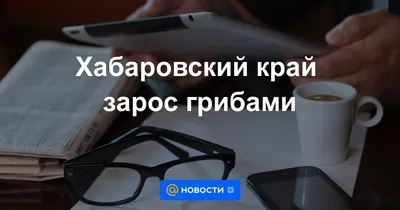 https://bryansknovosti.ru/%D0%BE%D0%B1%D0%BD%D0%BE%D0%B2%D0%BB%D1%91%D0%BD%D0%BD%D1%8B%D0%B9-%D1%82%D0%BE%D0%BC-%D0%BA%D1%80%D0%B0%D1%81%D0%BD%D0%BE%D0%B9-%D0%BA%D0%BD%D0%B8%D0%B3%D0%B8-%D1%80%D0%BE%D1%81%D1%81%D0%B8%D0%B8/