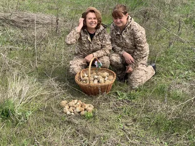 Радугу из грибов собрала в ставропольском лесу местная жительница | Своё ТВ