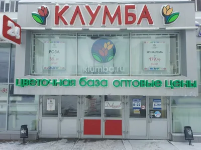 Фото: Давыдов, торговый центр, ул. Рихарда Зорге, 67Г, Казань — Яндекс Карты