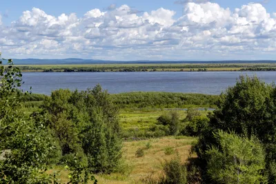 Богородское: карта с улицами, домами и организациями города — 2ГИС