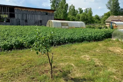 Купить дом в селе Ермаковское Красноярского края, продажа домов - база  объявлений Циан. Найдено 14 объявлений