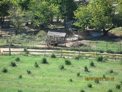 Село Родное - Севастополь