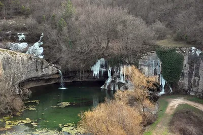 Страусиная ферма в Крыму село Родное. Что с ней стало спустя 10 лет |  КРЫМчане ➭ Travel | Дзен