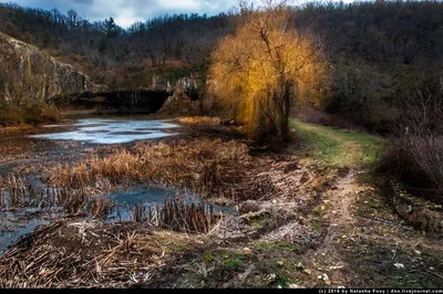 Село Родное - Севастополь