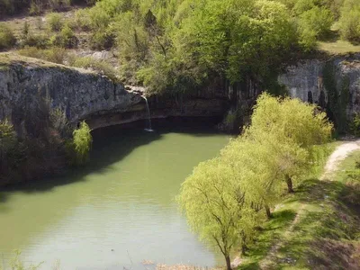 Страусиная ферма в Крыму село Родное. Что с ней стало спустя 10 лет |  КРЫМчане ➭ Travel | Дзен