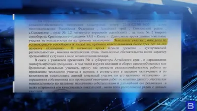 Базы отдыха в Смоленском районе (Астраханская область), Алтайский край —  цены 2024, турбазы, отзывы