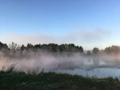 Купить Загородную Недвижимость в селе Самарка (Курская область) -  объявления о продаже загородной недвижимости недорого: планировки, цены и  фото – Домклик