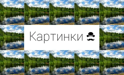 Какие скверы и парки выбрали для благоустройства в Томской области на  2024г: итоги - vtomske.ru