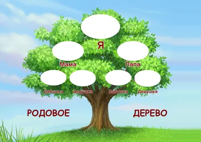 Семейное Древо Вашей Семьи — стоковая векторная графика и другие  изображения на тему Фамильное древо - Фамильное древо, Векторная графика,  Дерево - iStock