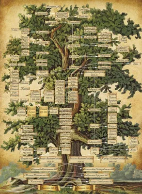 Винтажный альбом \"Семейное древо\" в интернет-магазине Ярмарка Мастеров по  цене 13500 ₽ – IBBSLRU | Фотоальбомы, Санкт-Петербург - доставка по России