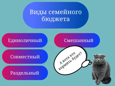 Семейный бюджет: как легко планировать доходы и расходы - Последние новости  Украины - Семья