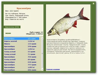 Семейство карповых: содержание в аквариуме, размножение, виды