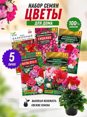 https://www.wildberries.ru/catalog/151960705/detail.aspx