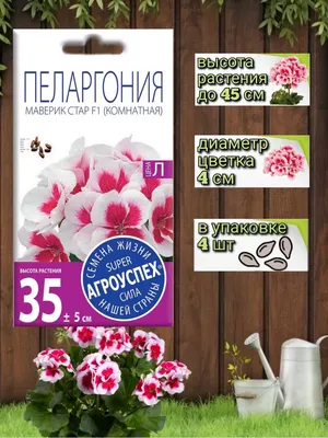 Разнообразные комнатные ПОИСК Агрохолдинг HomeFlower - купить по выгодным  ценам в интернет-магазине OZON (1098788870)