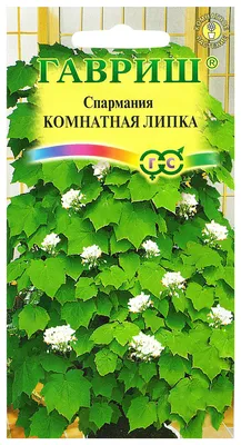 Семена спарманния Гавриш Комнатная липка 57772 1 уп. - купить в Москве,  цены на Мегамаркет