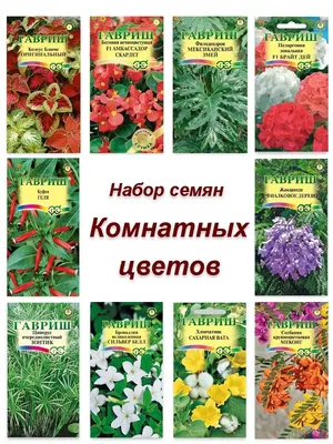 Катарантус комнатных растений и цветов Катарантус набор 3 шт. - купить по  выгодным ценам в интернет-магазине OZON (797059982)