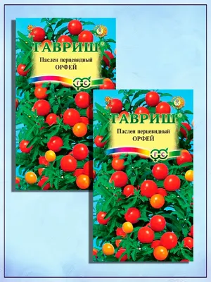 Семена комнатных цветов Броваллия и Герань, бегония и др Гавриш 25874897  купить в интернет-магазине Wildberries